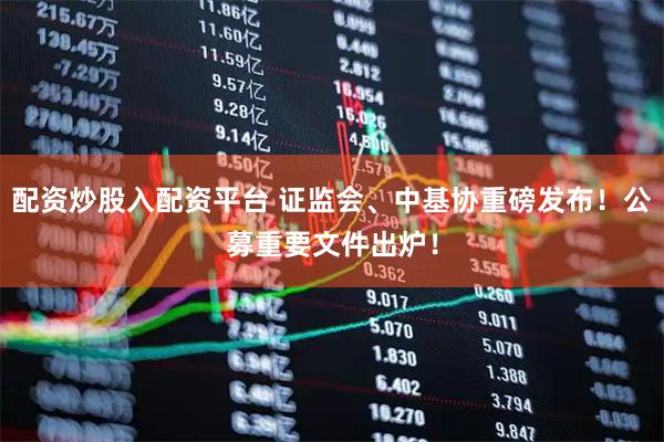 配资炒股入配资平台 证监会、中基协重磅发布！公募重要文件出炉！